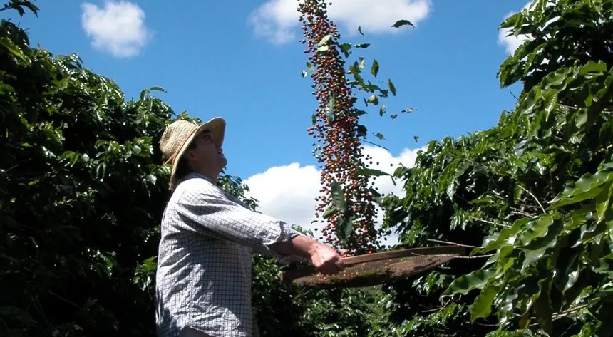 Circuito das Águas Paulista conquista Indicação Geográfica para cafés especiais da Mantiqueira