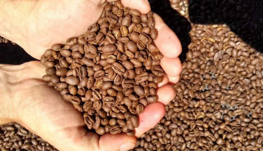 ASN Nacional - Agência Sebrae de Notícias