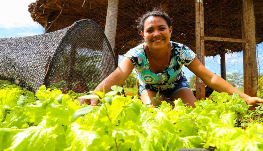 ASN Nacional - Agência Sebrae de Notícias