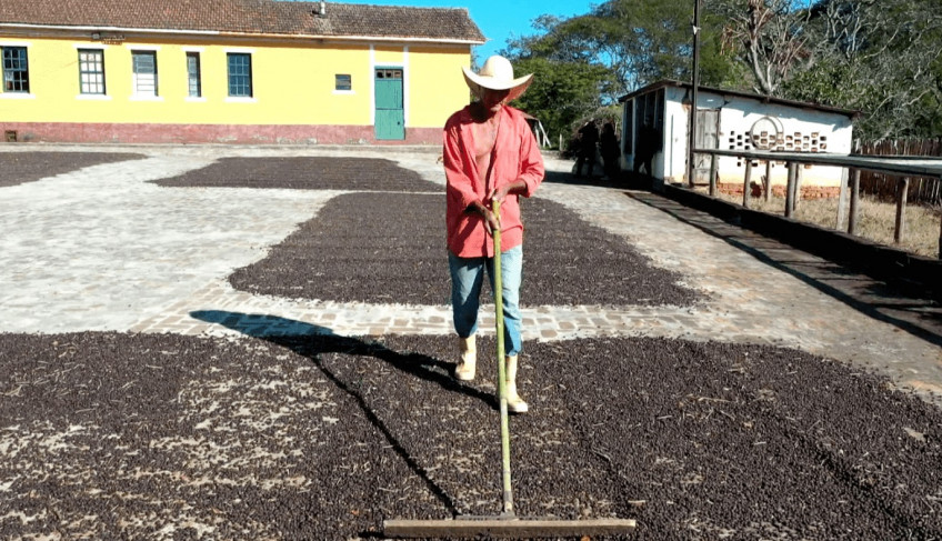 ASN Nacional - Agência Sebrae de Notícias