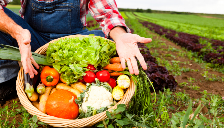 ASN Nacional - Agência Sebrae de Notícias