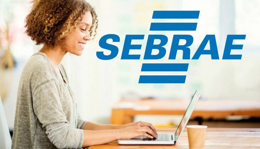 Sebrae Ultrapassa 20 Milhões De Atendimentos Em 2022: Busca Por ...