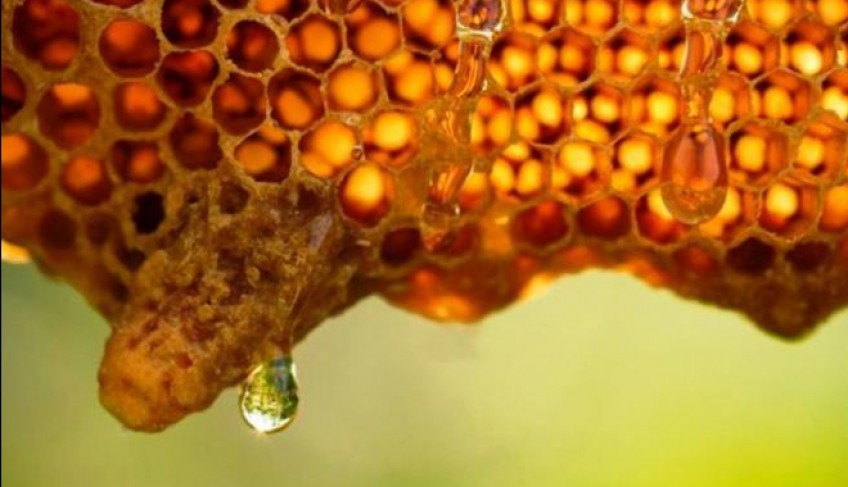 ASN Nacional - Agência Sebrae de Notícias