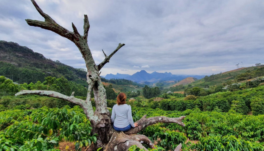 ASN Nacional - Agência Sebrae de Notícias