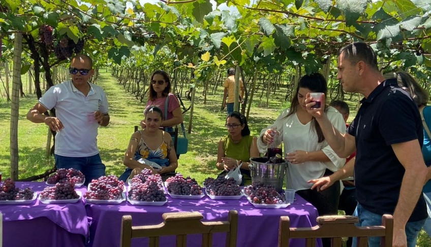 ASN Nacional - Agência Sebrae de Notícias