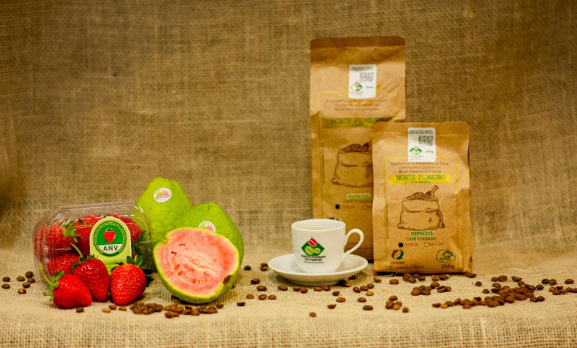 ASN Nacional - Agência Sebrae de Notícias