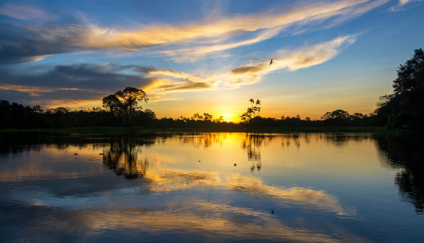 ASN Nacional - Agência Sebrae de Notícias