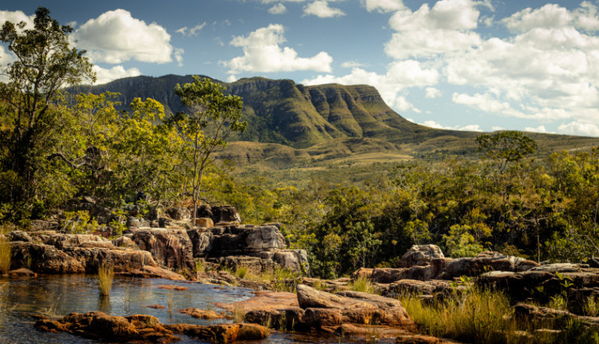 ASN Nacional - Agência Sebrae de Notícias