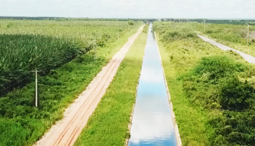 ASN Nacional - Agência Sebrae de Notícias