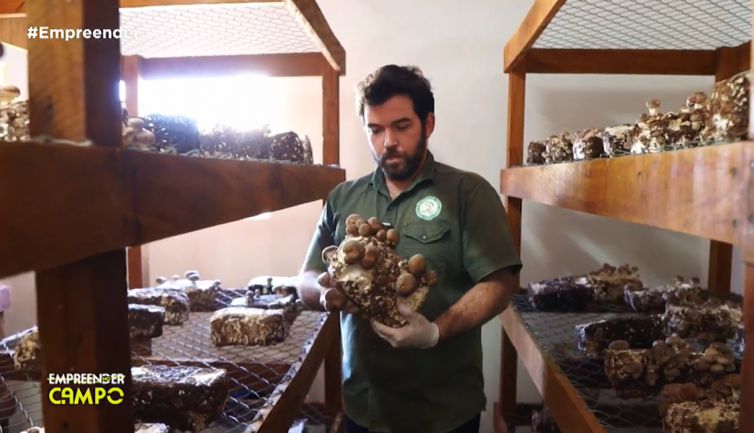 ASN Nacional - Agência Sebrae de Notícias