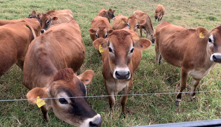 ASN Nacional - Agência Sebrae de Notícias
