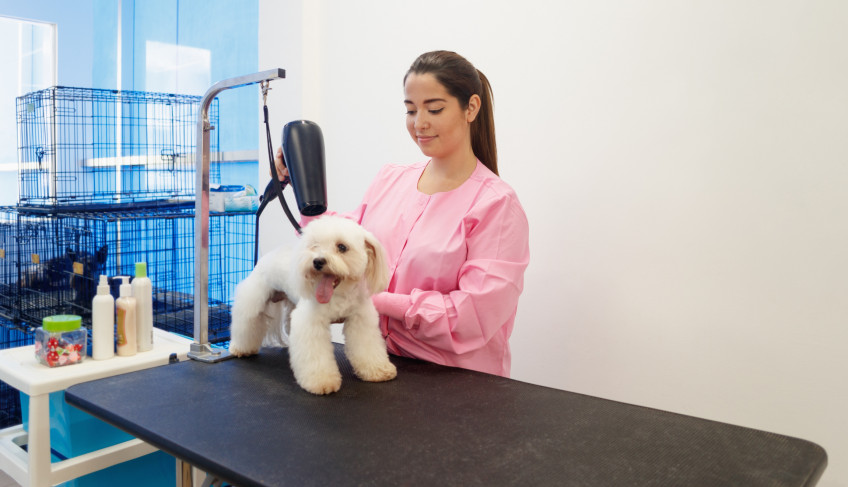 ASN Nacional - Agência Sebrae de Notícias