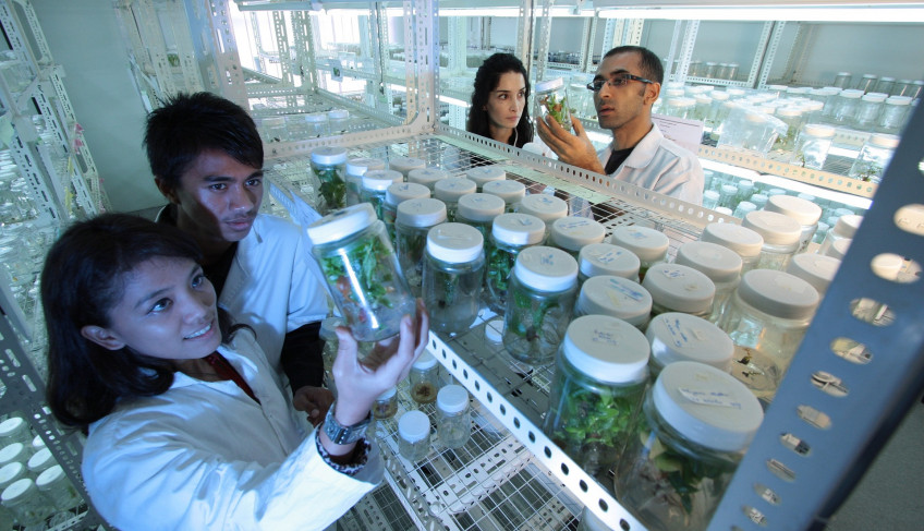 ASN Nacional - Agência Sebrae de Notícias