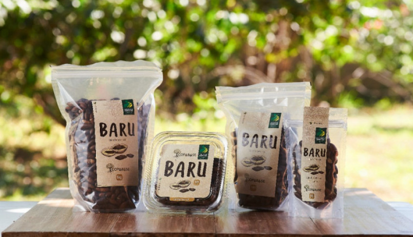 ASN Nacional - Agência Sebrae de Notícias