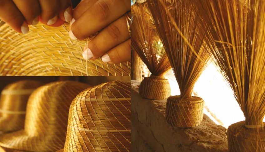 ASN Nacional - Agência Sebrae de Notícias