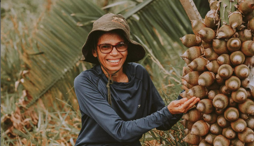 ASN Nacional - Agência Sebrae de Notícias