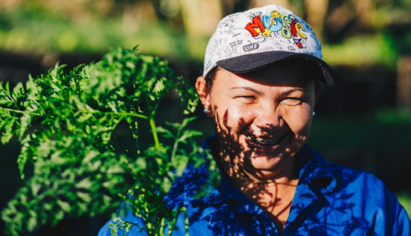 ASN Nacional - Agência Sebrae de Notícias