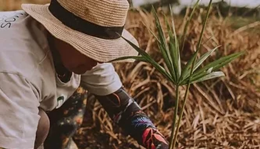ASN Nacional - Agência Sebrae de Notícias