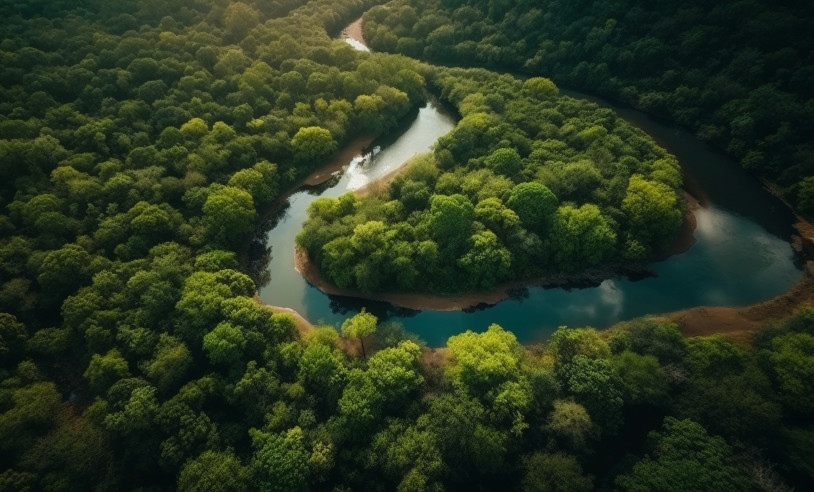ASN Nacional - Agência Sebrae de Notícias