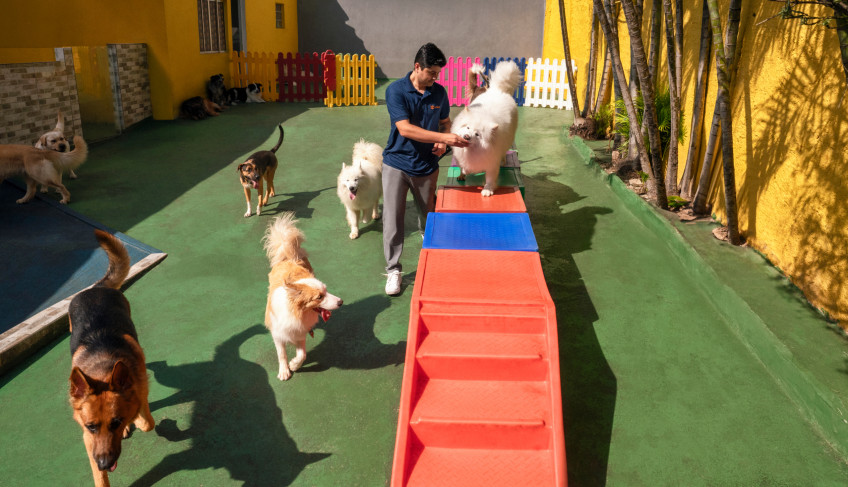 TRANSFORMAMOS NOSSA CASA EM CRECHE PARA GATOS