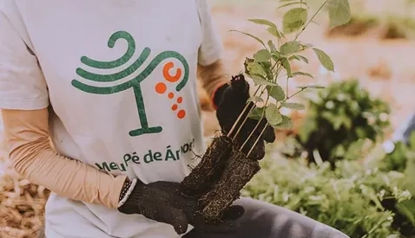 ASN Nacional - Agência Sebrae de Notícias