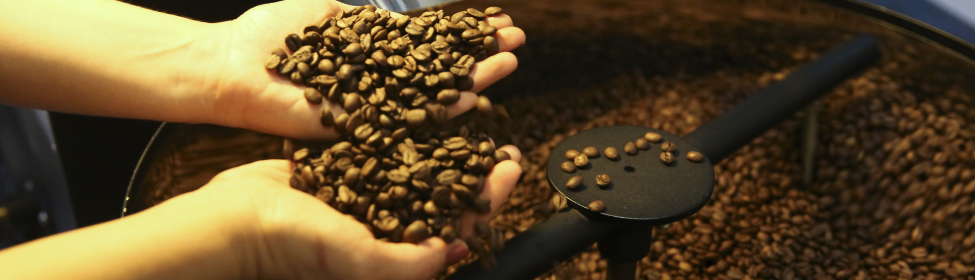 ASN Nacional - Agência Sebrae de Notícias