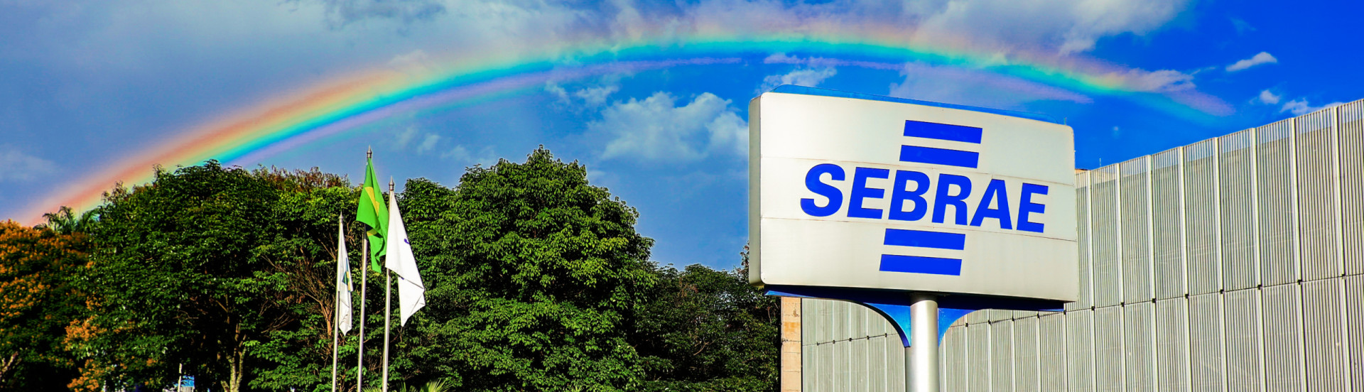 ASN Nacional - Agência Sebrae de Notícias