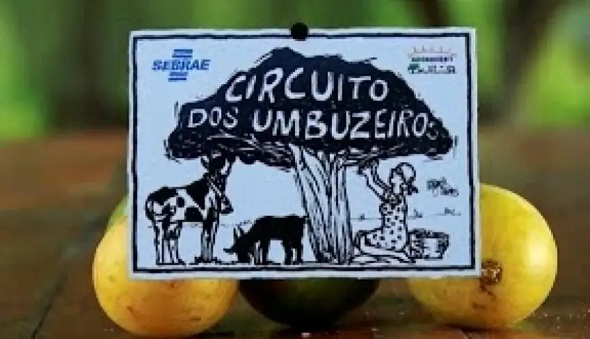 ASN Nacional - Agência Sebrae de Notícias