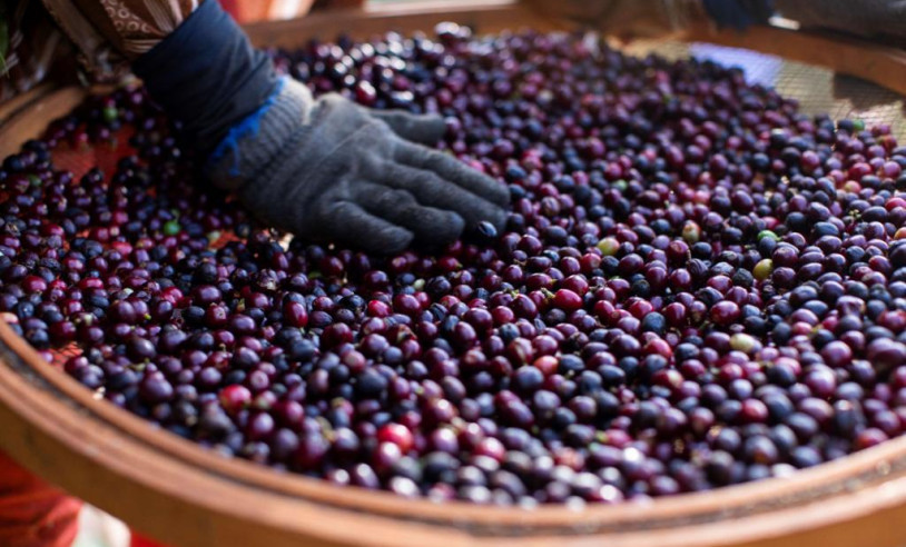 ASN Nacional - Agência Sebrae de Notícias