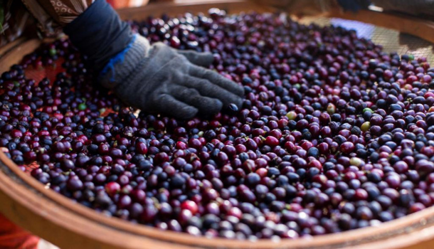 ASN Nacional - Agência Sebrae de Notícias