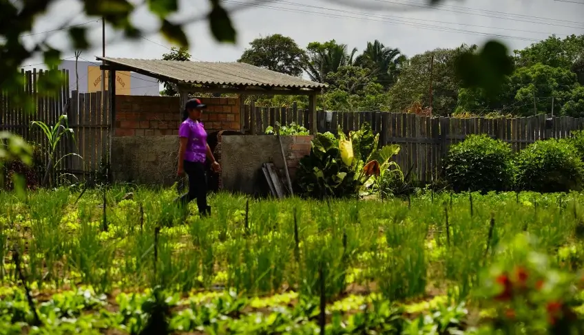 ASN Nacional - Agência Sebrae de Notícias