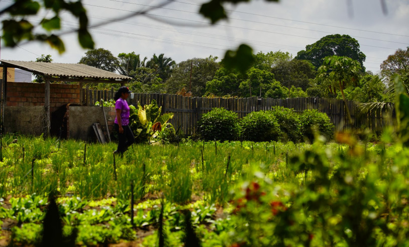 ASN Nacional - Agência Sebrae de Notícias