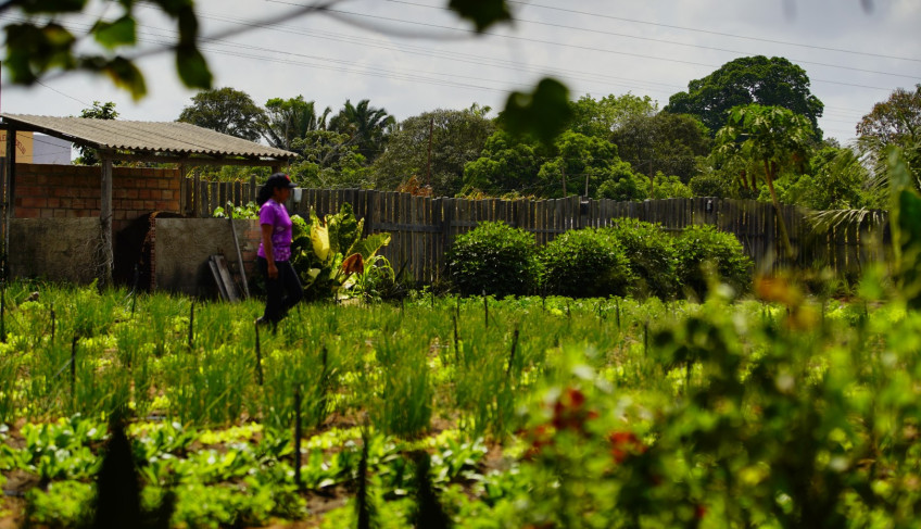 ASN Nacional - Agência Sebrae de Notícias
