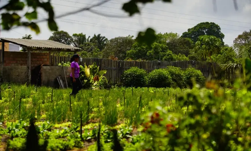 ASN Nacional - Agência Sebrae de Notícias