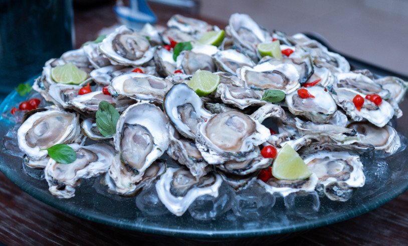 ASN Nacional - Agência Sebrae de Notícias