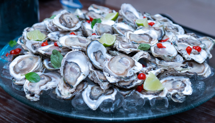 ASN Nacional - Agência Sebrae de Notícias