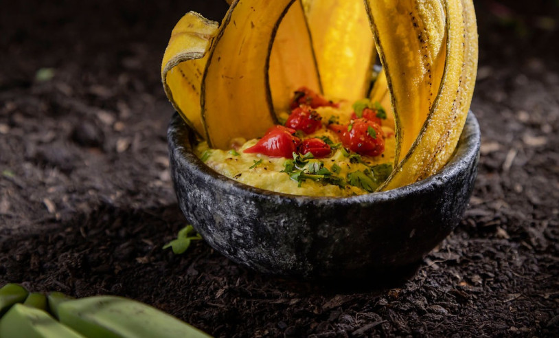 ASN Nacional - Agência Sebrae de Notícias