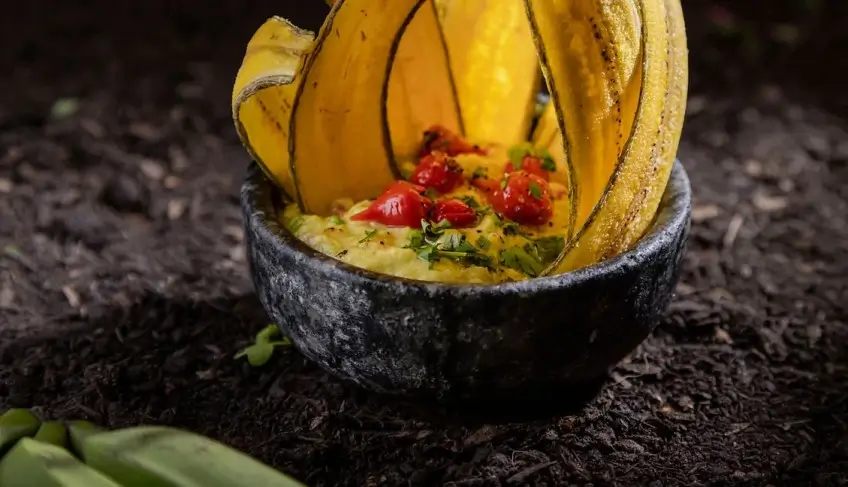 ASN Nacional - Agência Sebrae de Notícias