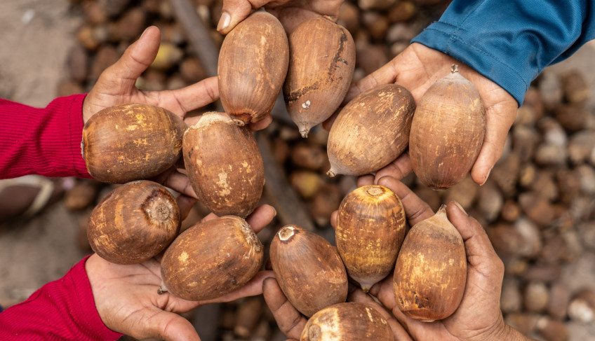 ASN Nacional - Agência Sebrae de Notícias