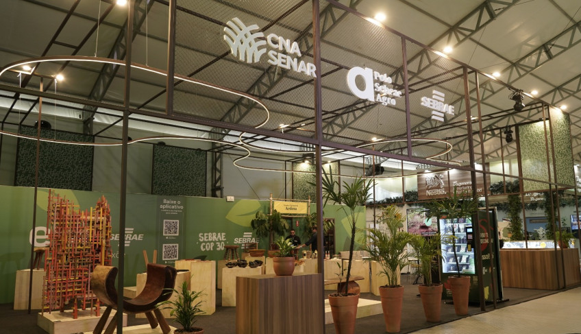 ASN Nacional - Agência Sebrae de Notícias