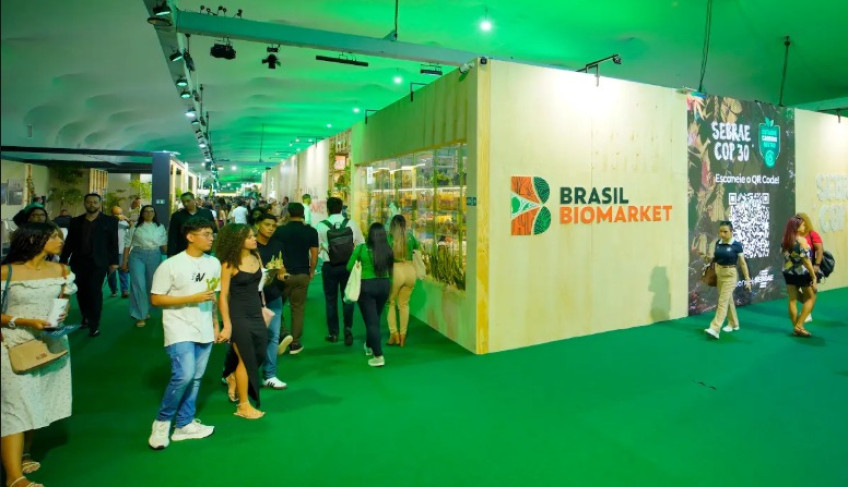 ASN Nacional - Agência Sebrae de Notícias