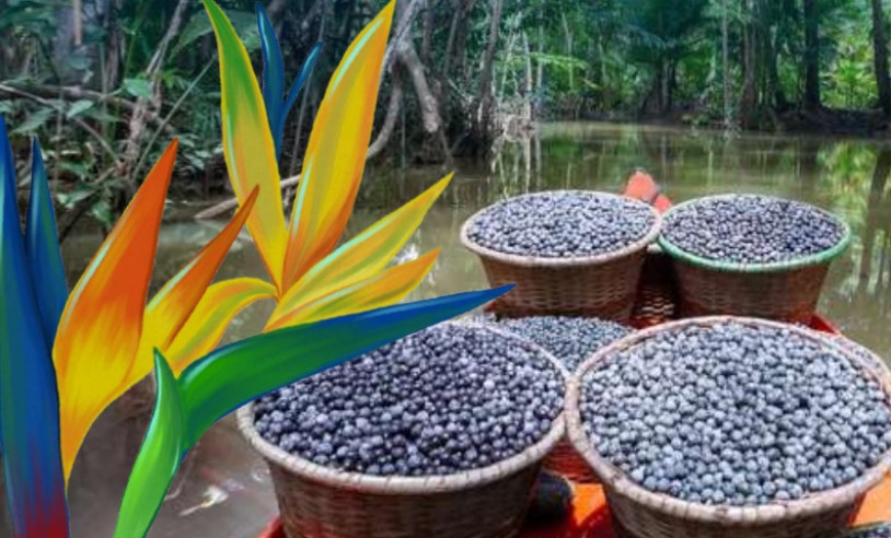 ASN Nacional - Agência Sebrae de Notícias