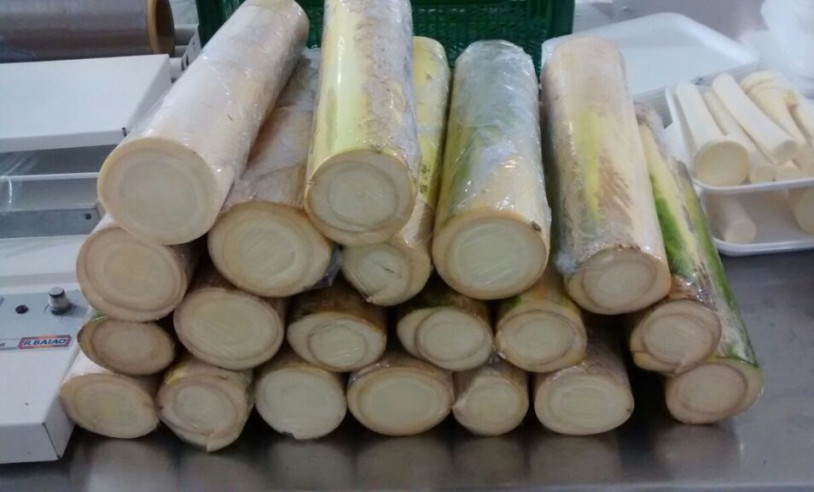 ASN Nacional - Agência Sebrae de Notícias