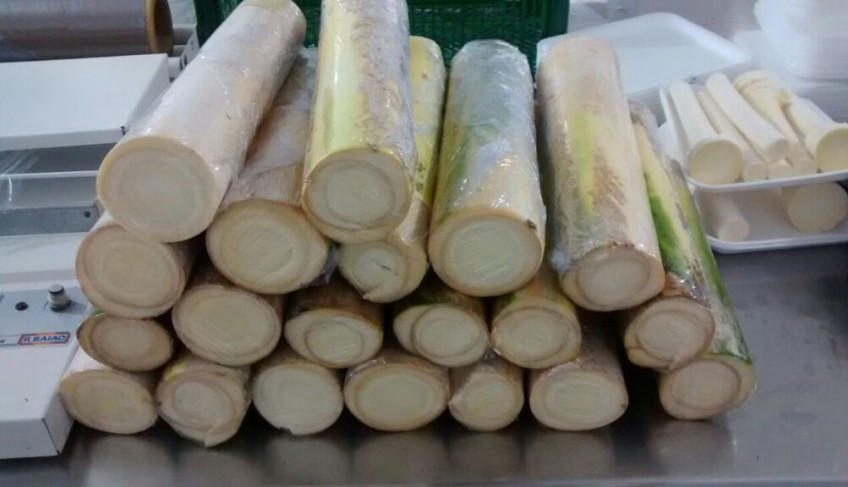 ASN Nacional - Agência Sebrae de Notícias