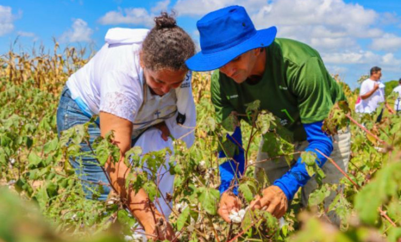 ASN Nacional - Agência Sebrae de Notícias