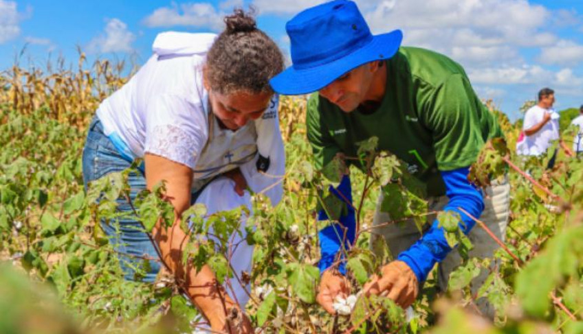 ASN Nacional - Agência Sebrae de Notícias