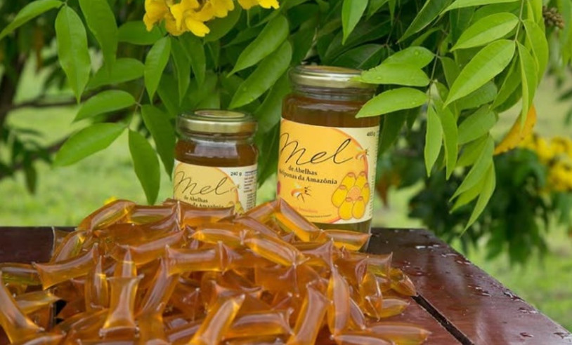 ASN Nacional - Agência Sebrae de Notícias