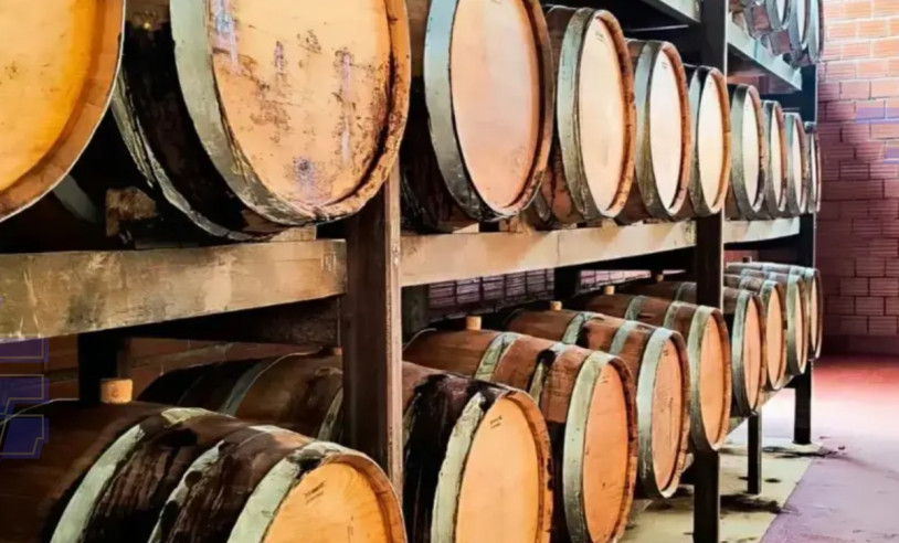 ASN Nacional - Agência Sebrae de Notícias