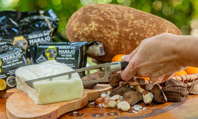 ASN Nacional - Agência Sebrae de Notícias