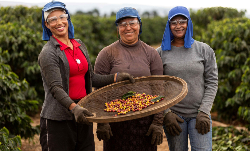 ASN Nacional - Agência Sebrae de Notícias
